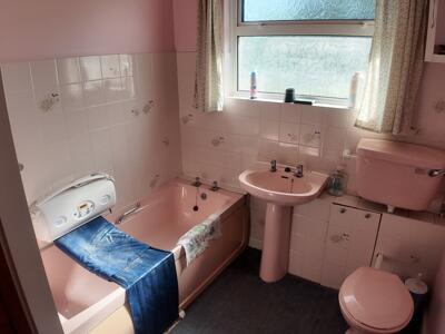 Picture 11